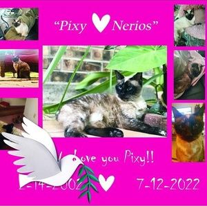 Meet your Posher, Roswitha